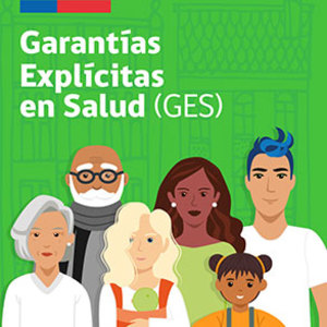 Curso 26: ver_07 - 2024  -  GES. (12-11-2024 al 06-12-2024)